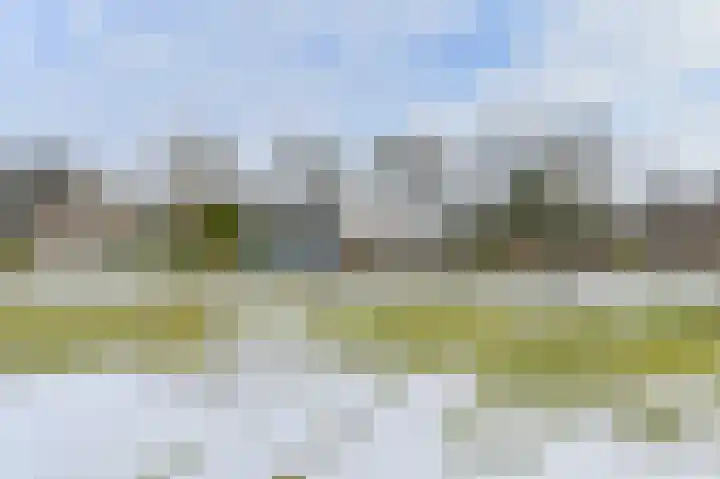 Langhieten 13 Odoorn thumbnail 78