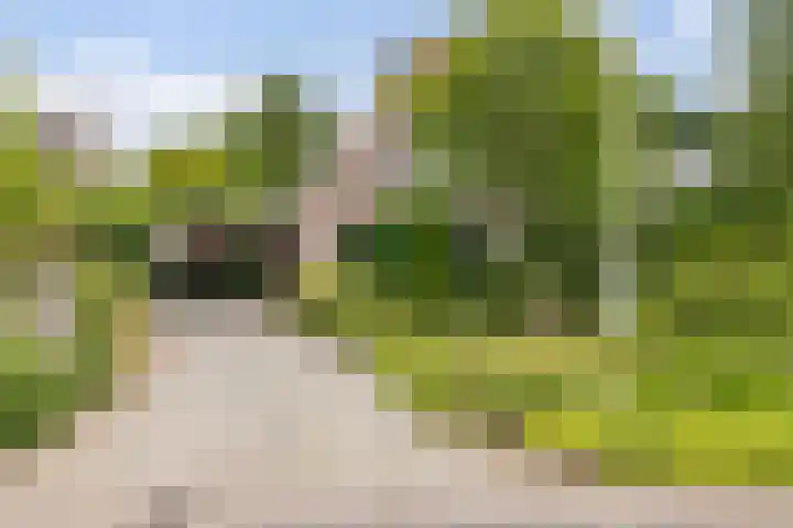 Langhieten 21 Odoorn thumbnail 4