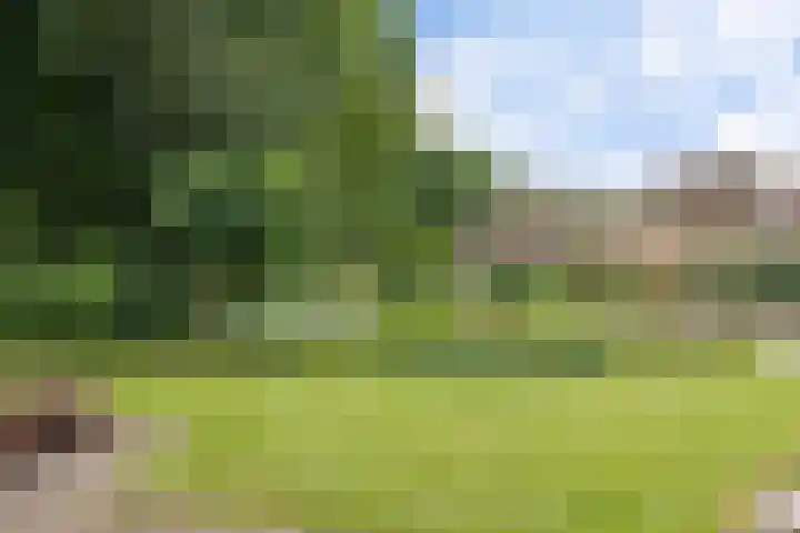 Langhieten 21 Odoorn thumbnail 45