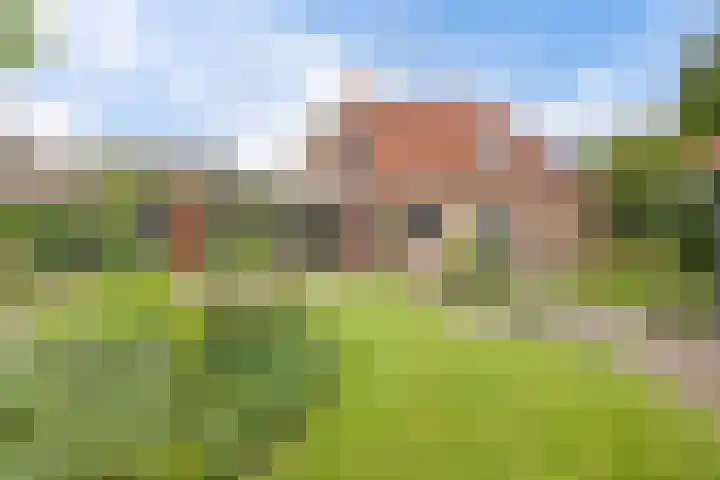 Langhieten 21 Odoorn thumbnail 46