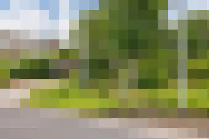 Langhieten 21 Odoorn thumbnail 49