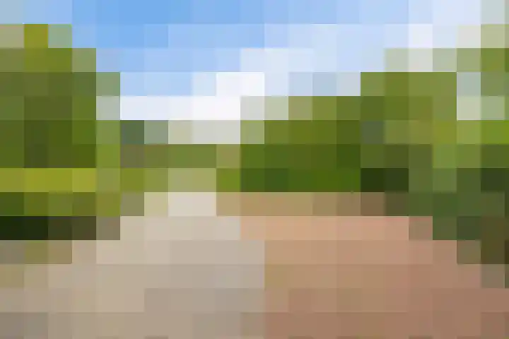 Langhieten 21 Odoorn thumbnail 5