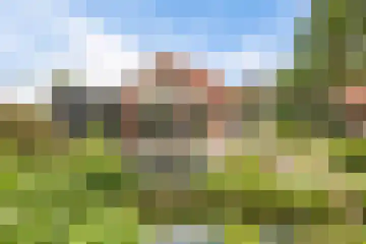 Langhieten 21 Odoorn thumbnail 51
