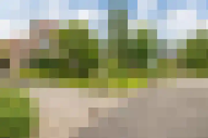 Langhieten 21 Odoorn thumbnail 6