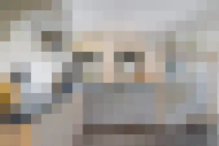 Langhieten 30 Odoorn thumbnail 10
