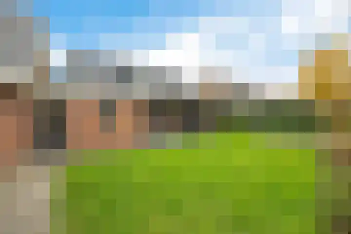 Langhieten 30 Odoorn thumbnail 29