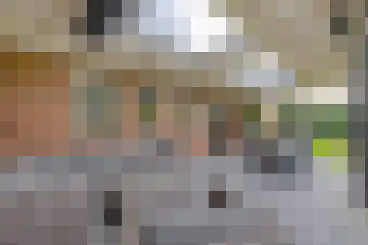 Langhieten 30 Odoorn thumbnail 30
