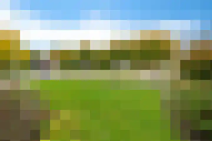 Langhieten 30 Odoorn thumbnail 32