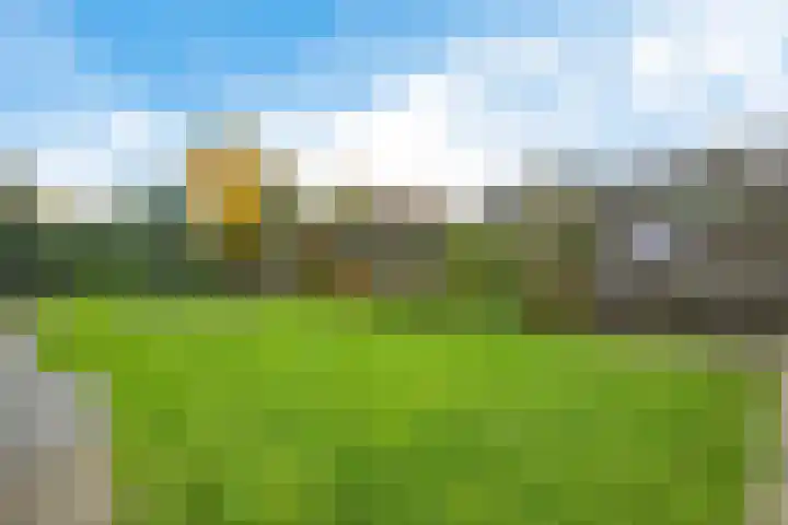 Langhieten 30 Odoorn thumbnail 4