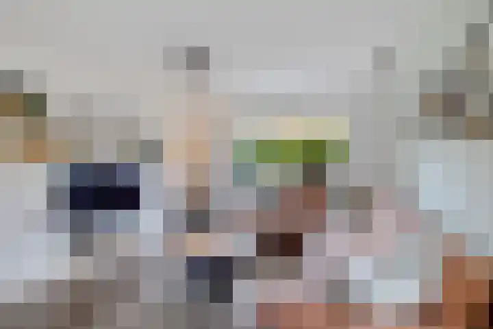 Langhieten 30 Odoorn thumbnail 8