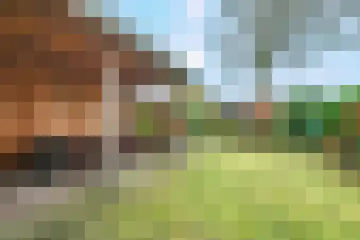 Langhoven 32 Bennekom thumbnail 32