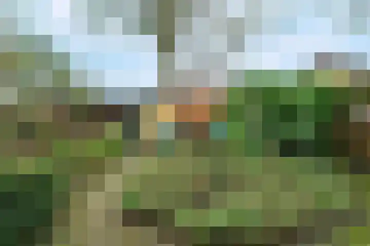 Langhoven 32 Bennekom thumbnail 33
