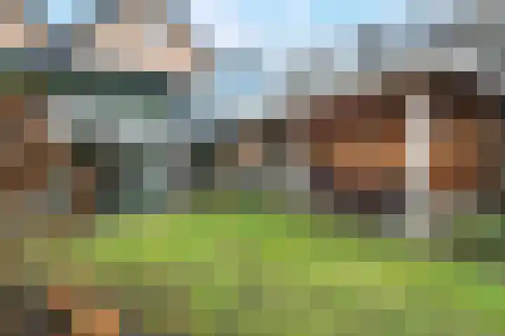 Langhoven 32 Bennekom thumbnail 35