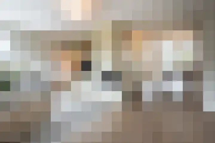 Langhoven 32 Bennekom thumbnail 8