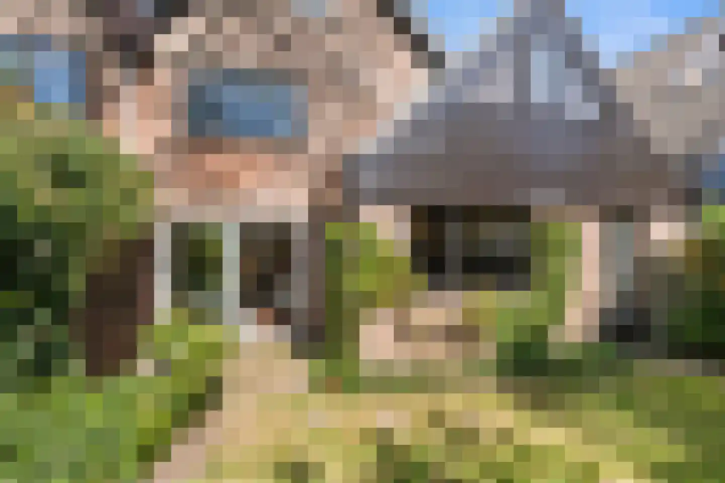 Langhoven 8 Bennekom thumbnail 10