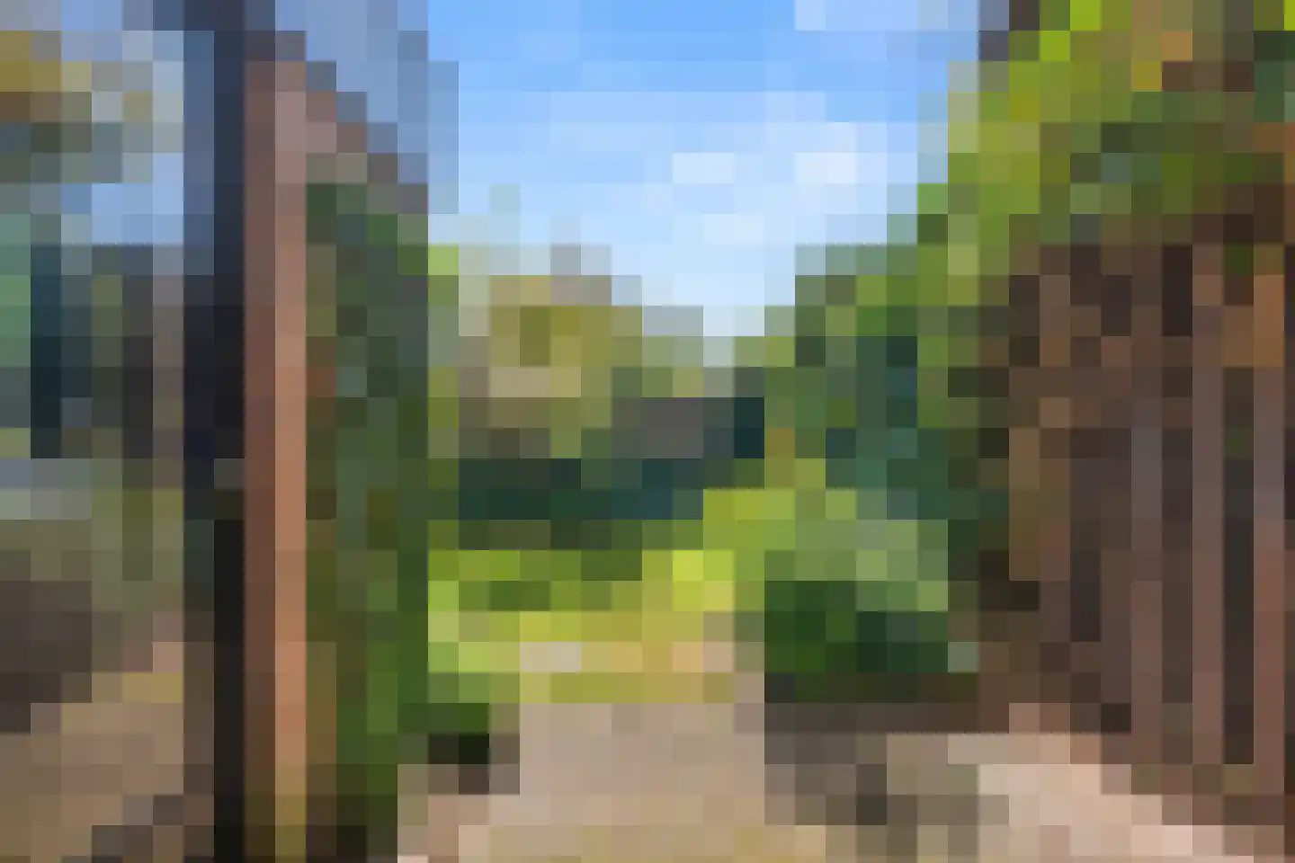 Langhoven 8 Bennekom thumbnail 12