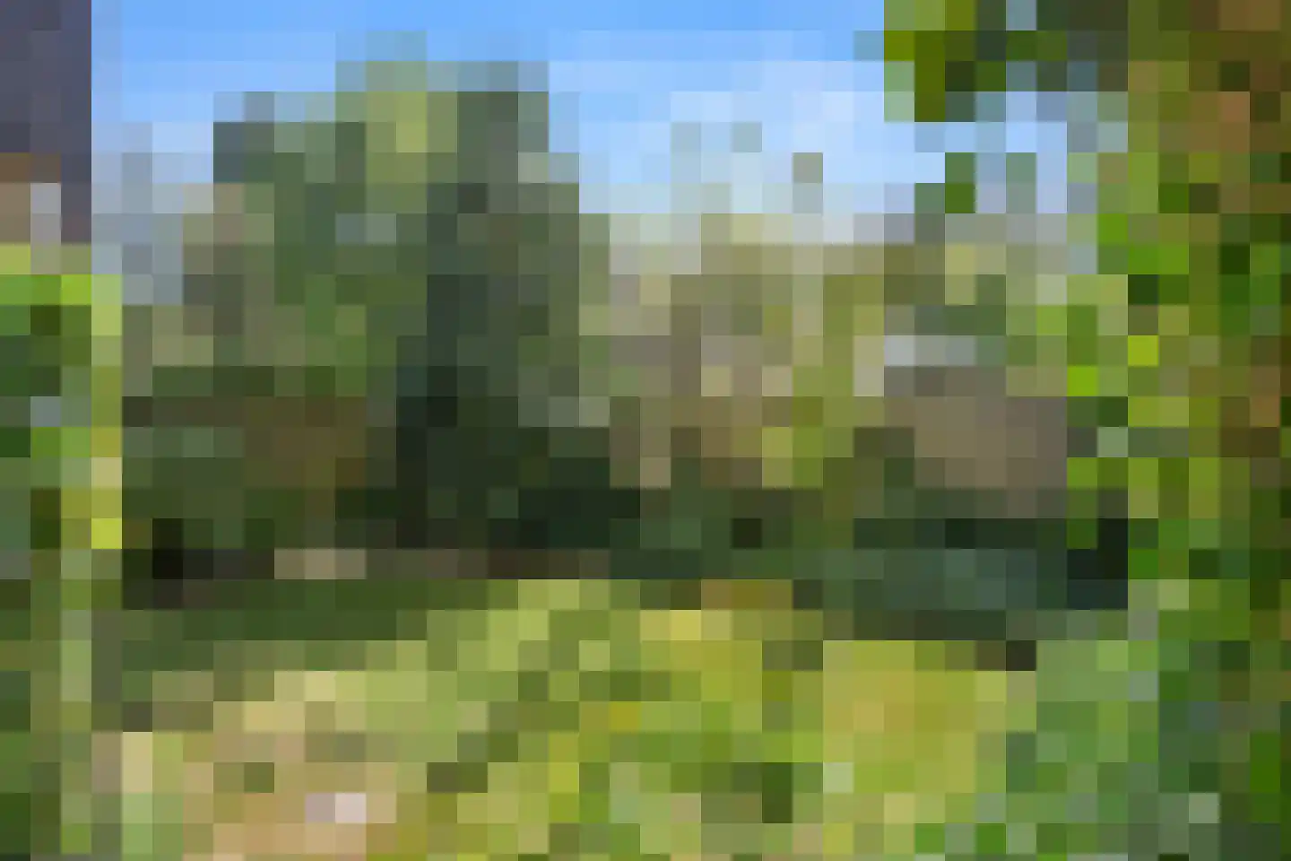Langhoven 8 Bennekom thumbnail 13