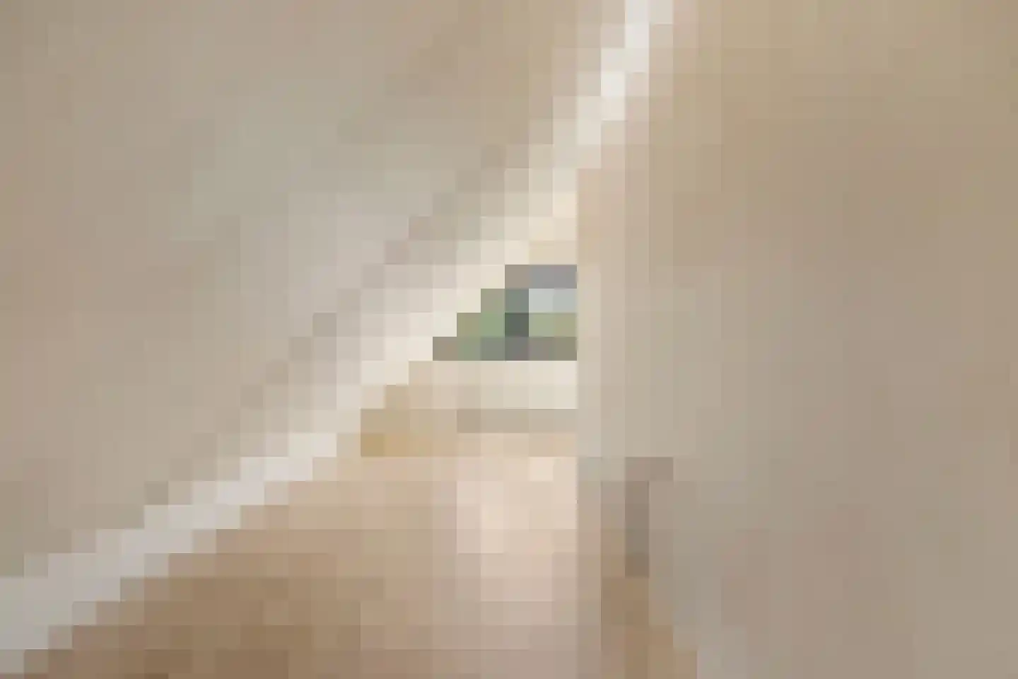 Langhoven 8 Bennekom thumbnail 33