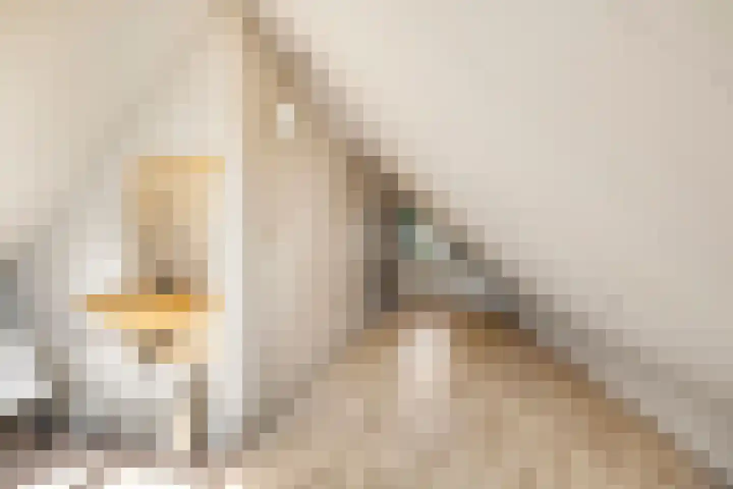 Langhoven 8 Bennekom thumbnail 35