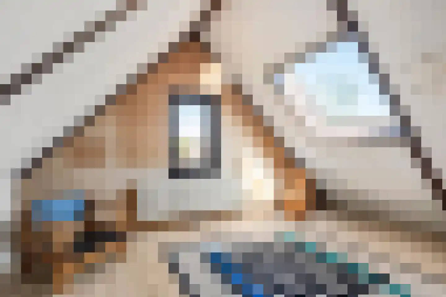 Langhoven 8 Bennekom thumbnail 45