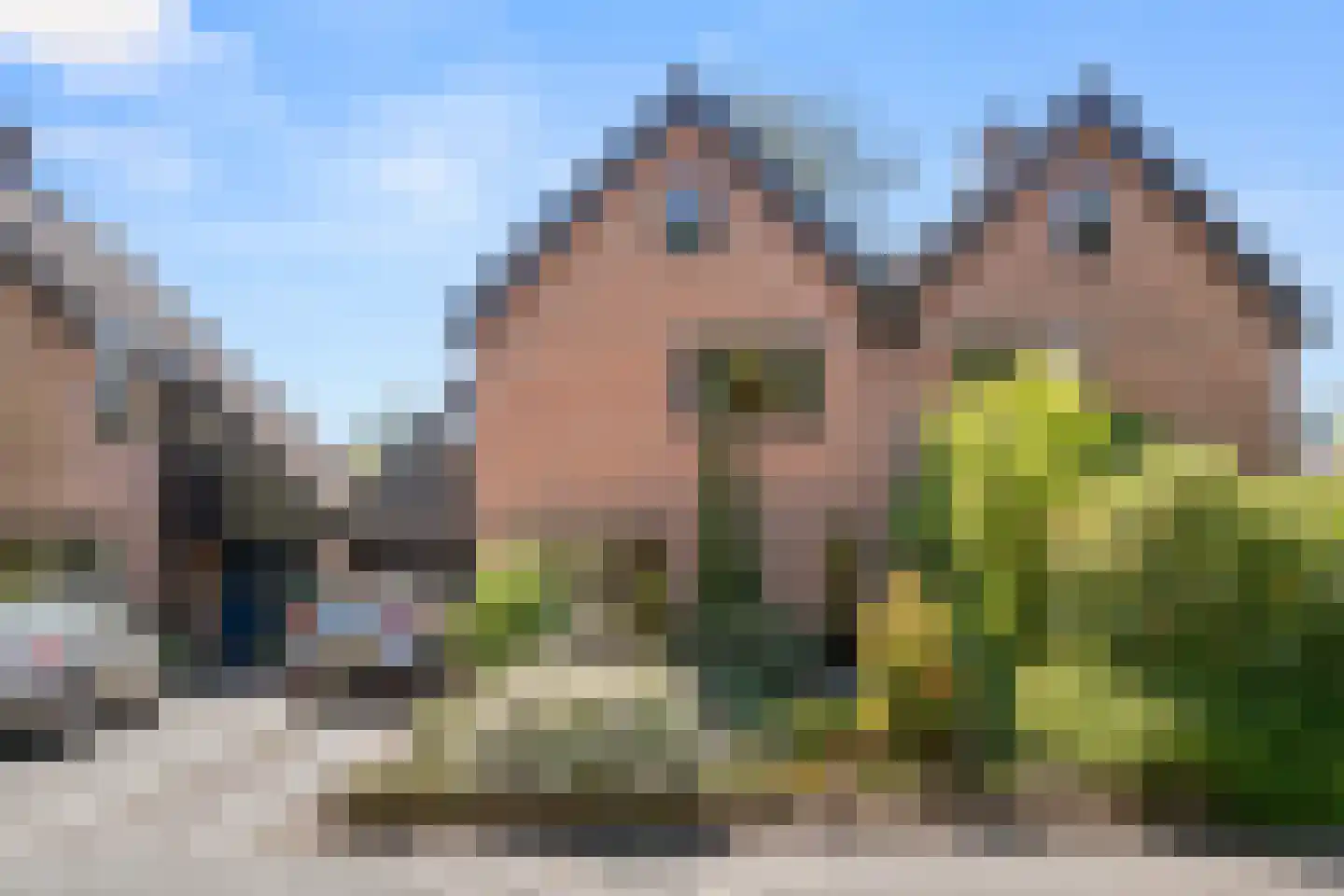 Langhoven 8 Bennekom thumbnail 6