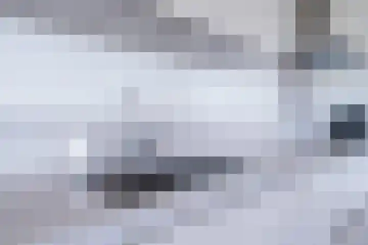 Langhuis 23 Wilnis thumbnail 17