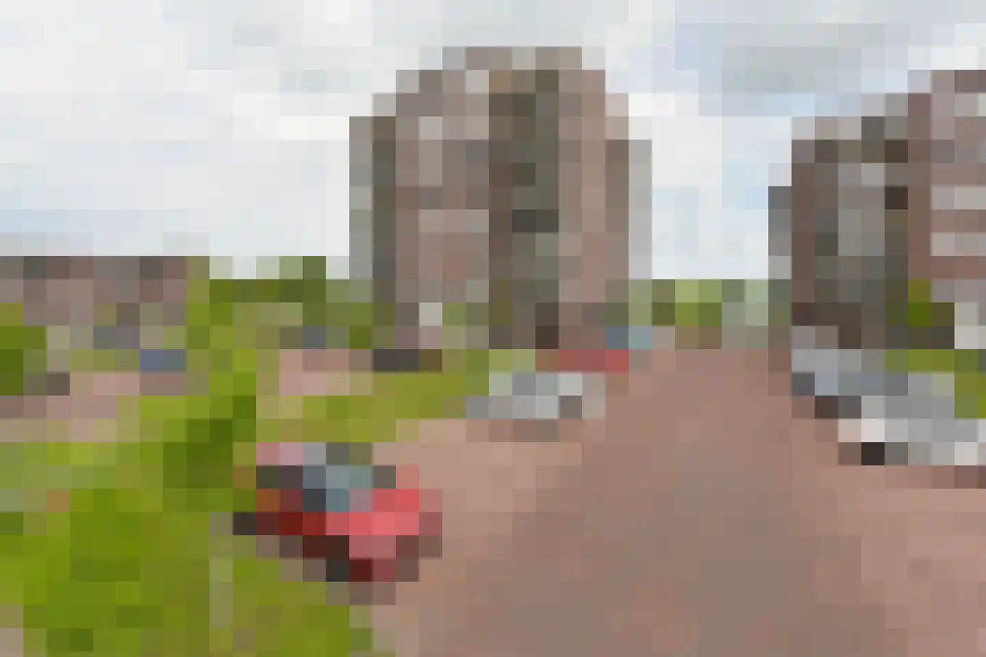 Langhuis 23 Wilnis thumbnail 33