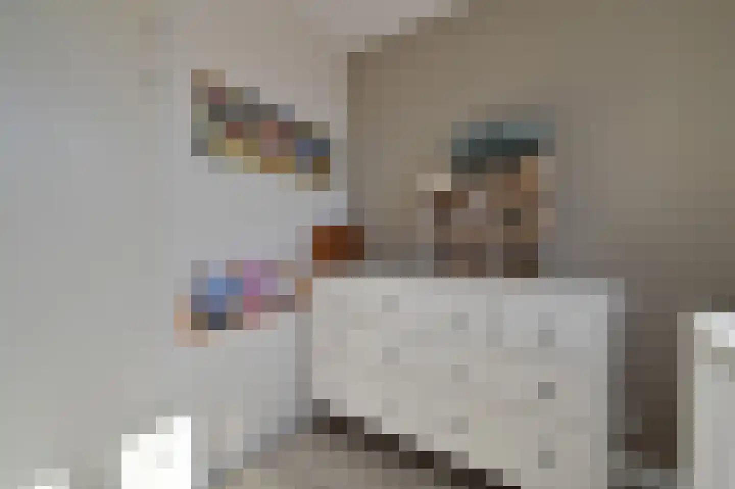 Langhuis 4 Wilnis thumbnail 15