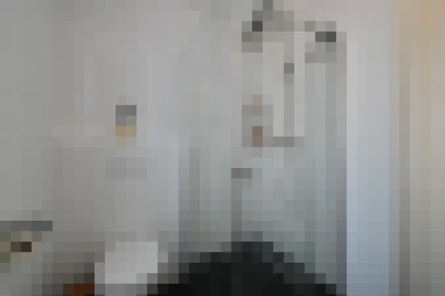 Langhuis 4 Wilnis thumbnail 19