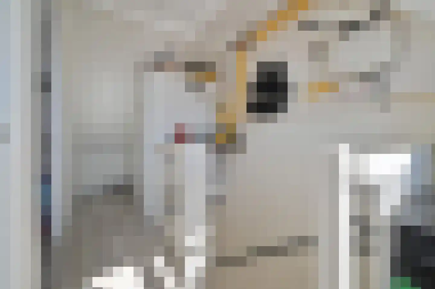 Langhuis 4 Wilnis thumbnail 21
