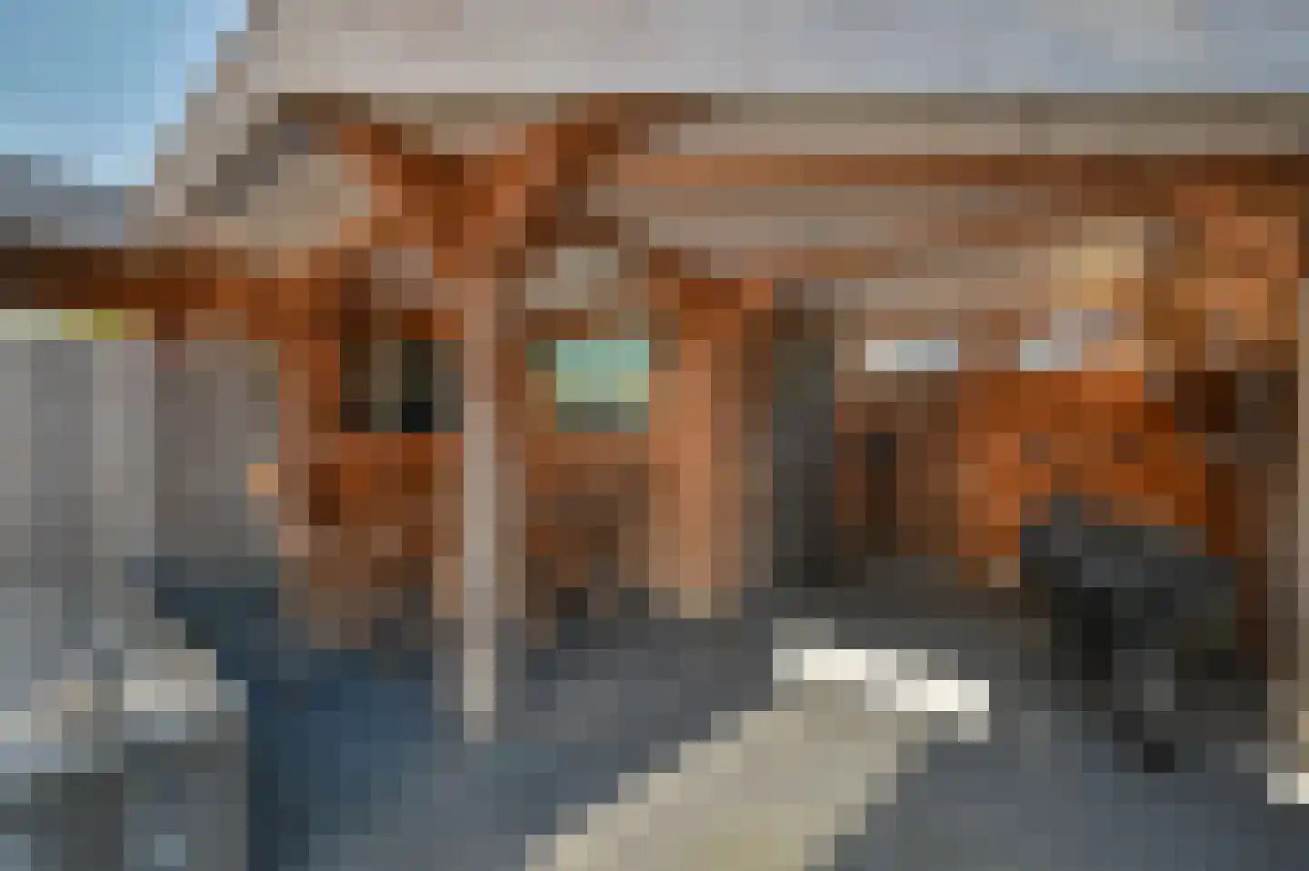 Langhuis 4 Wilnis thumbnail 27
