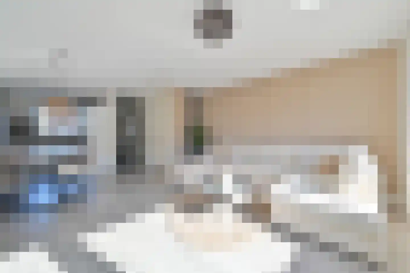 Langhuis 4 Wilnis thumbnail 7