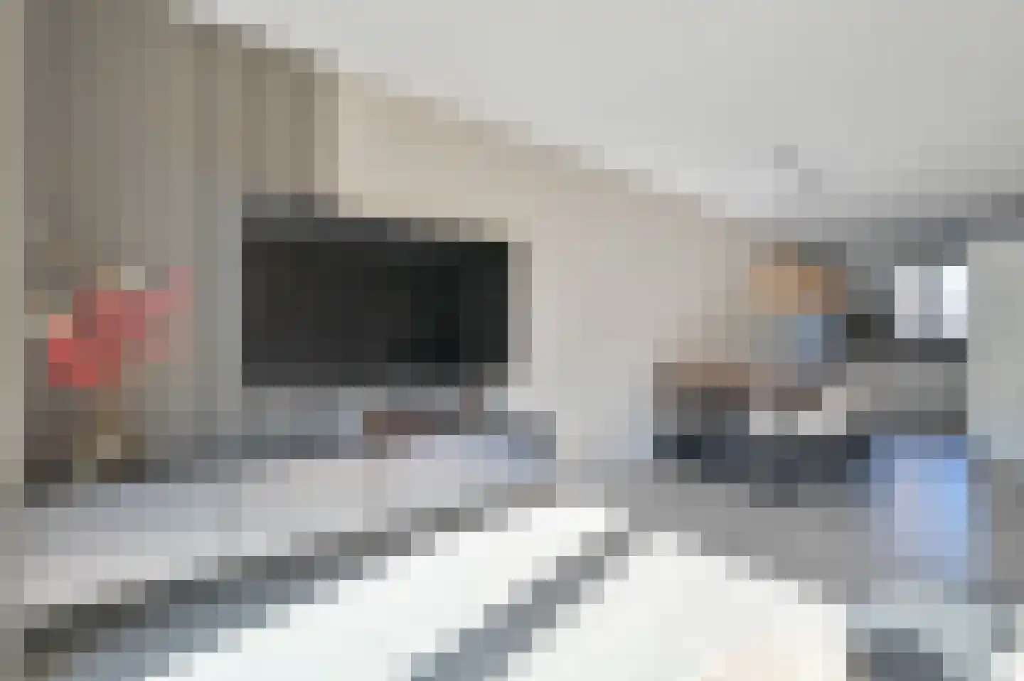 Langhuis 4 Wilnis thumbnail 9