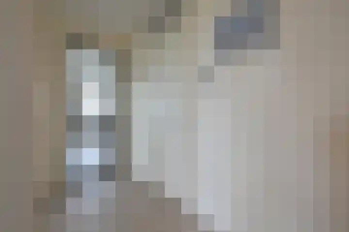 Langhuis 51 Wilnis thumbnail 10