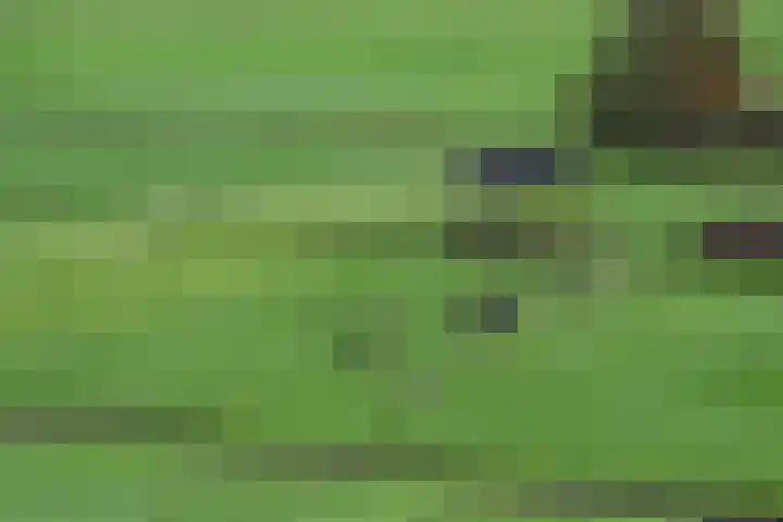 Langhuis 51 Wilnis thumbnail 24