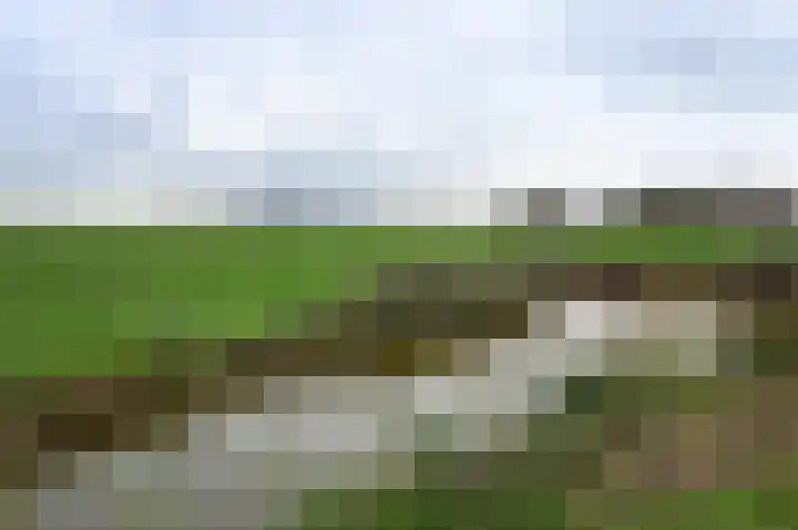 Langhuis 51 Wilnis thumbnail 25