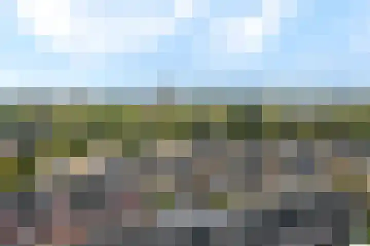 Langhuis 51 Wilnis thumbnail 26