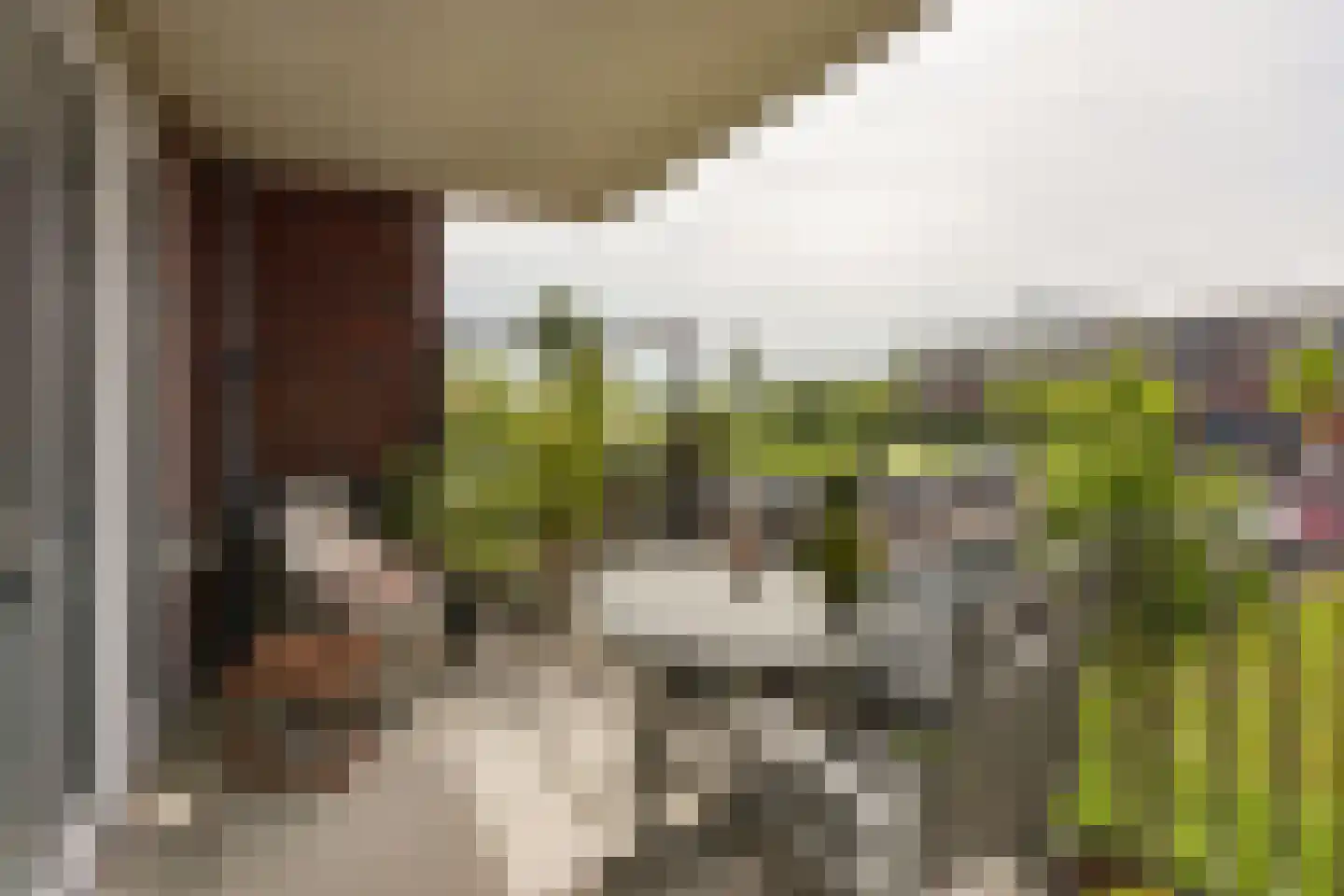 Langhuis 59 Wilnis thumbnail 14