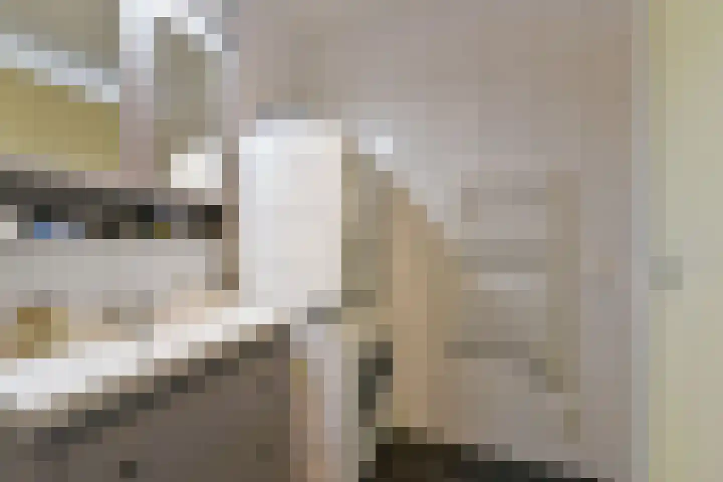 Langhuis 59 Wilnis thumbnail 22