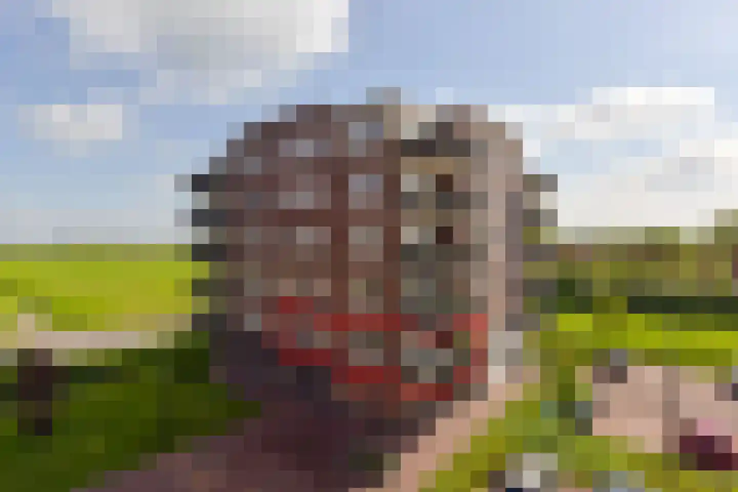 Langhuis 59 Wilnis thumbnail 24