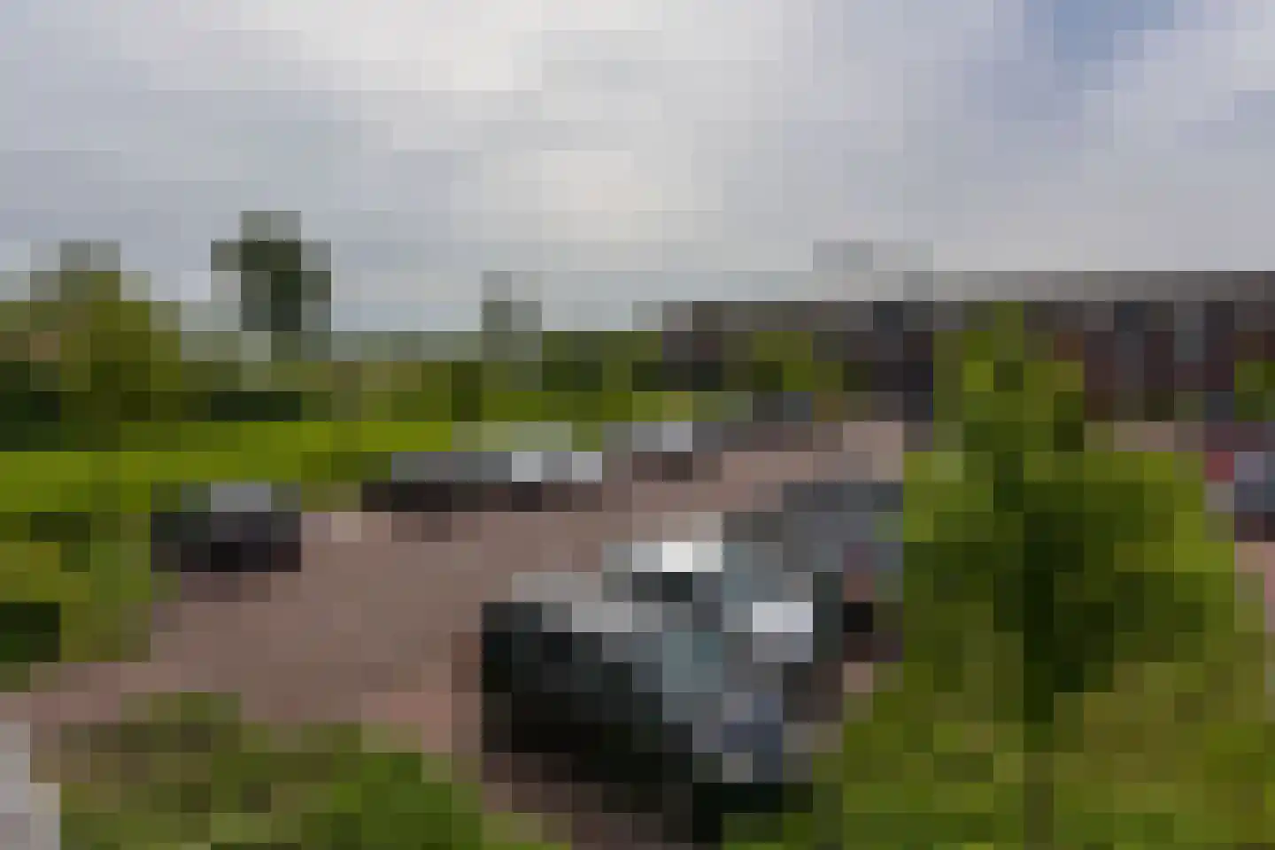 Langhuis 59 Wilnis thumbnail 25