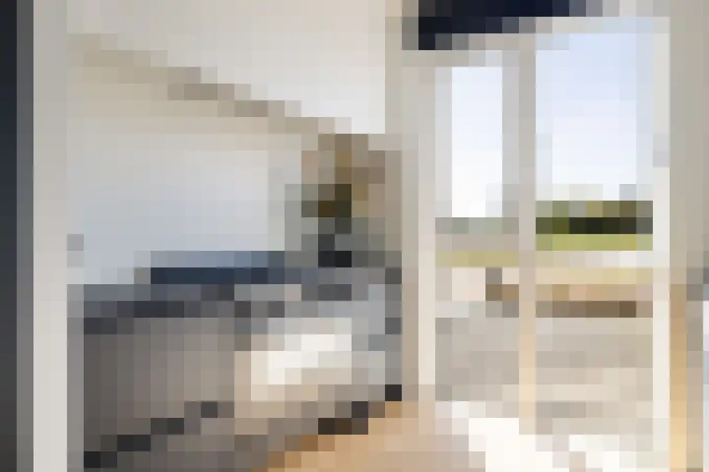 Langhuis 8 Voorthuizen thumbnail 11