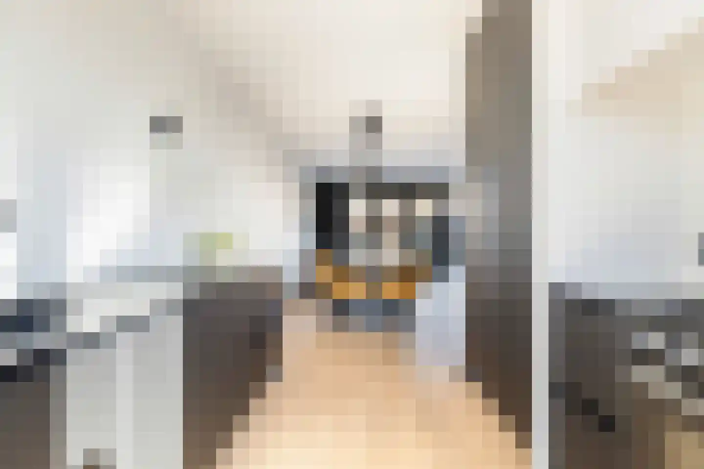 Langhuis 8 Voorthuizen thumbnail 13