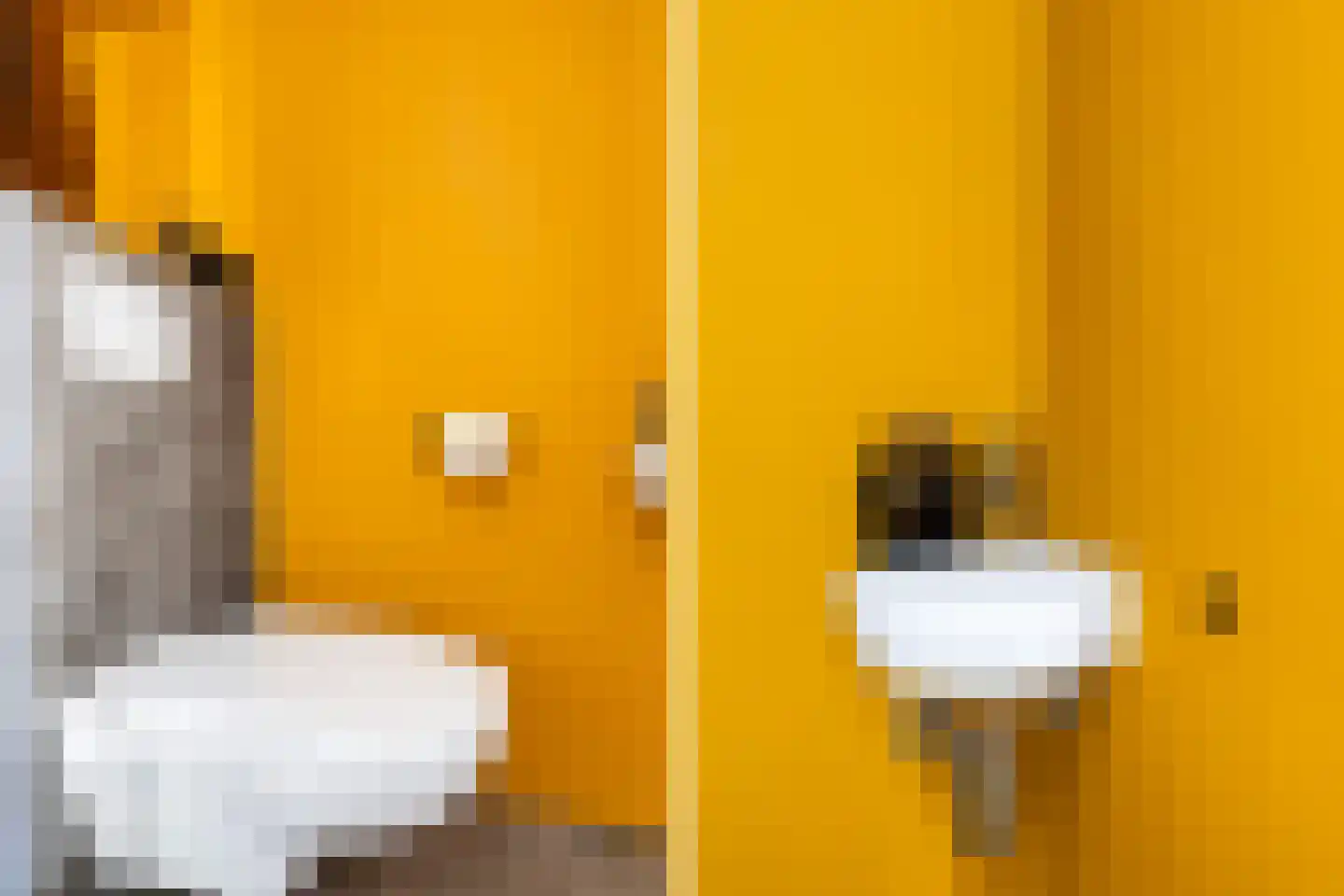 Langhuis 8 Voorthuizen thumbnail 14