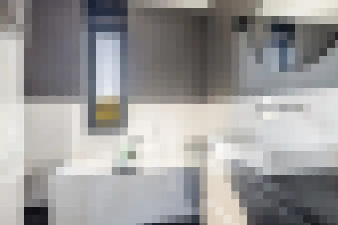 Langhuis 8 Voorthuizen thumbnail 18