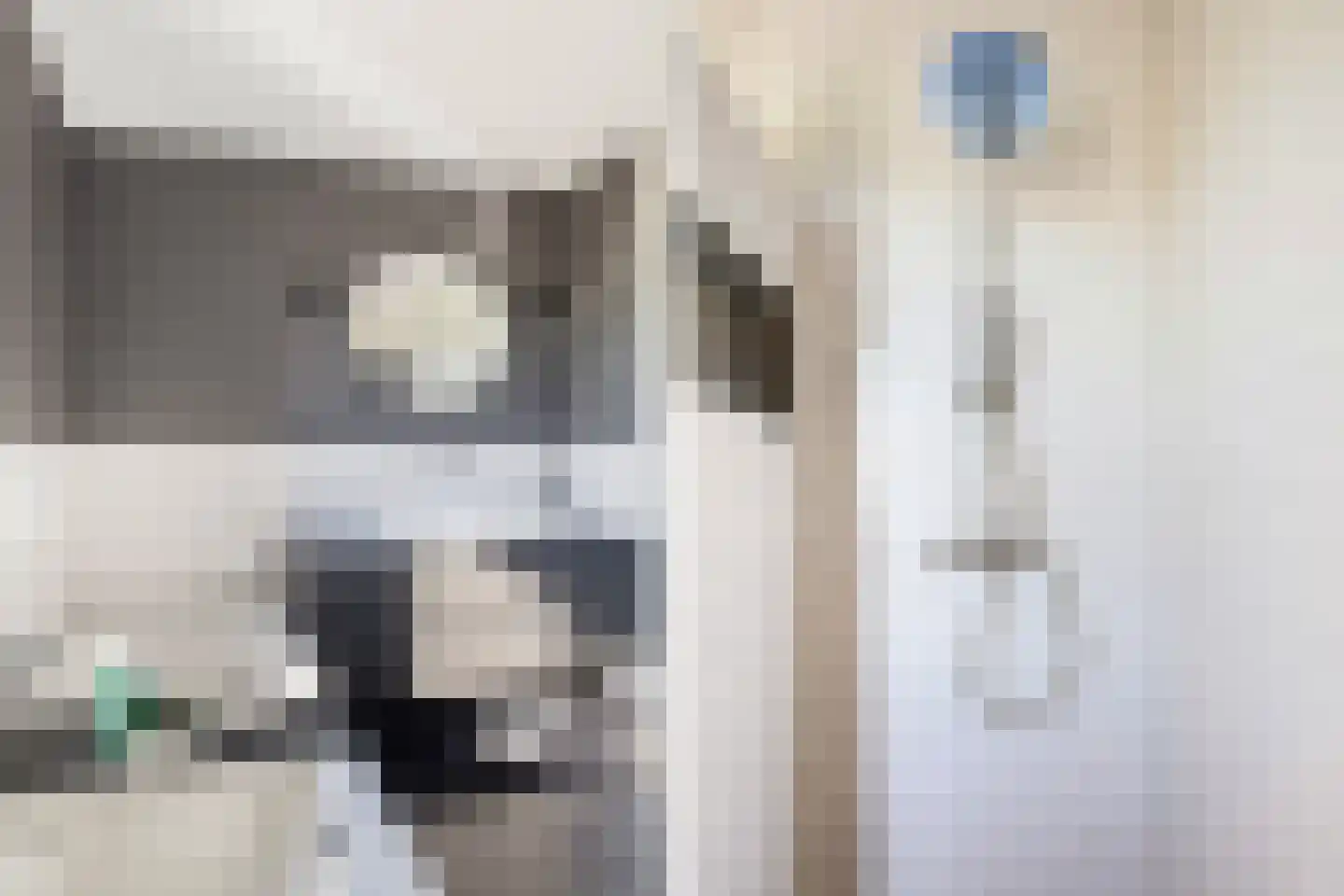 Langhuis 8 Voorthuizen thumbnail 19