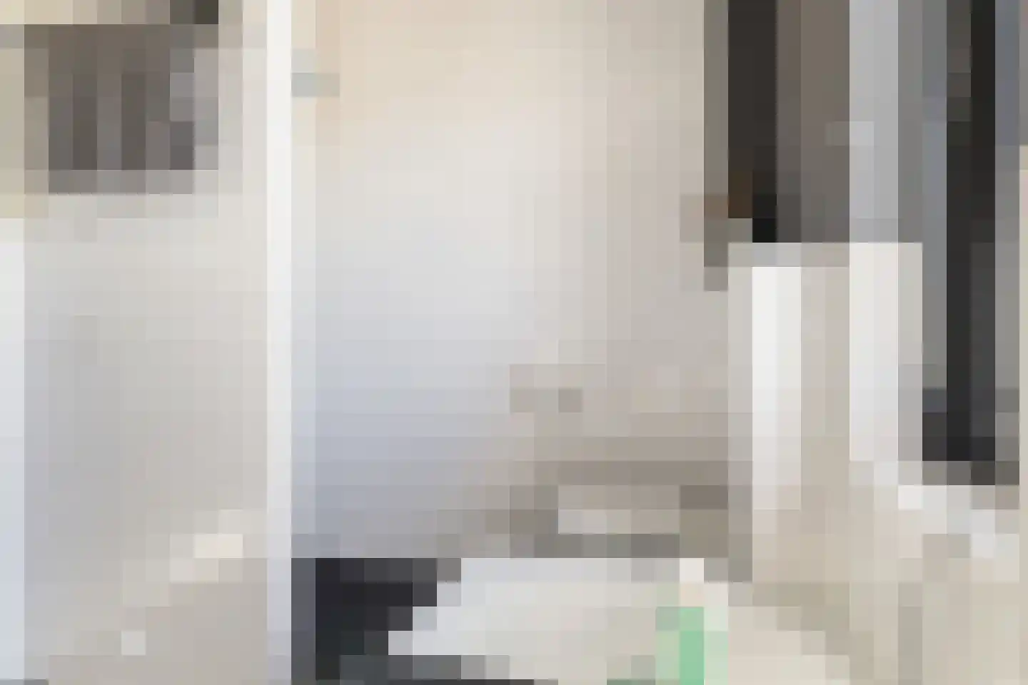 Langhuis 8 Voorthuizen thumbnail 20