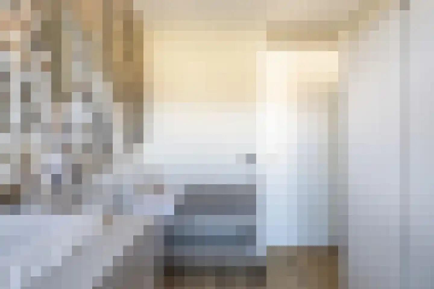 Langhuis 8 Voorthuizen thumbnail 22