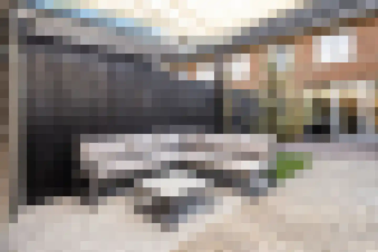 Langhuis 8 Voorthuizen thumbnail 29