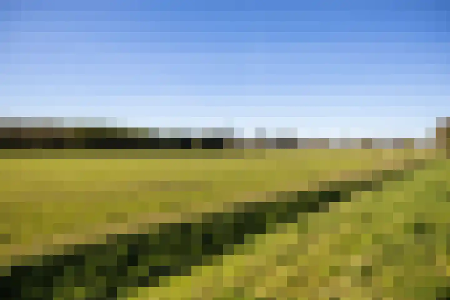 Langhuis 8 Voorthuizen thumbnail 36